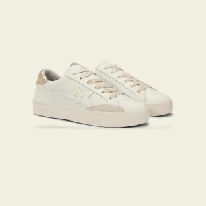 cream-10364-v5