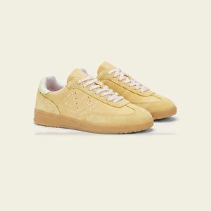 cream-10593-v5