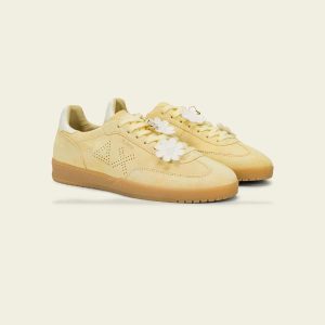 cream-12266-v5